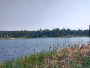 View of the lake
