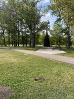 Accessible picnic areas