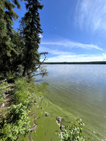 Lake shoreline.