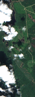 Otter Lake