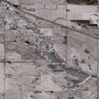 Nickle Lake - Jan 13, 2026