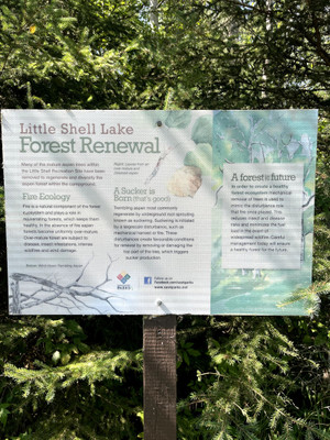 Shell Lake - SaskLakes