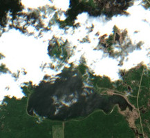 Deer Lake