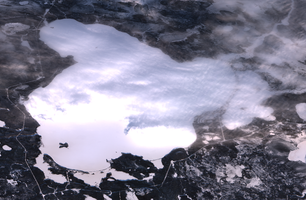 Canoe Lake - Jan 09, 2026