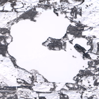 Shell Lake - Feb 20, 2026