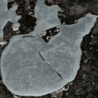 Fern Lake - May 02, 2026