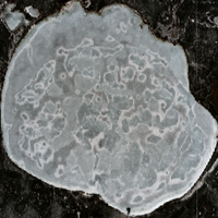 Namekus Lake - May 06, 2026