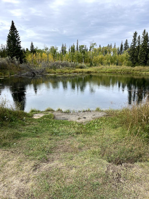 Lake access, the shoreline drops down to the water here.