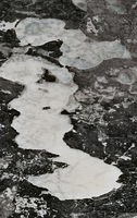 Whiteswan Lakes - Apr 21, 2026