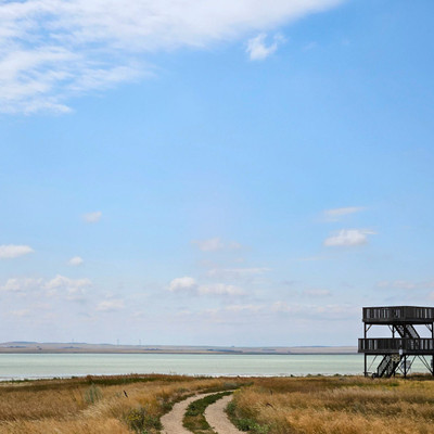 Reed Lake Lookout Tower