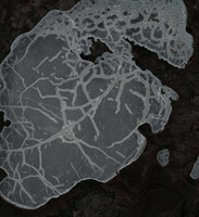 Smoothstone Lake - May 09, 2026