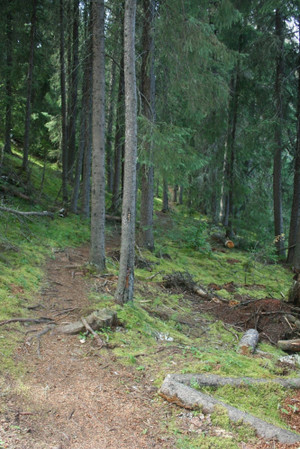 Gem Lakes 
