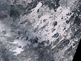 Cree Lake - Feb 01, 2026