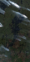 Reindeer Lake