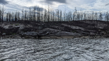 a lot of recent burn is all over the lake