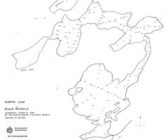 Martin Lake
