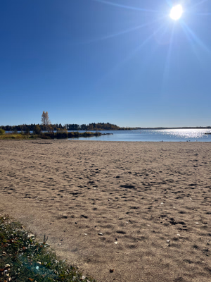 Patterson's Park Beach