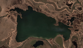Cut Beaver Lake