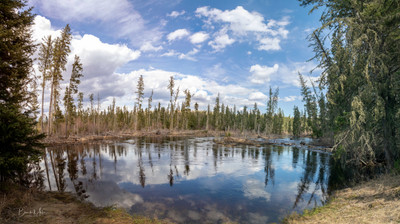 This picnic spot on the Spruce River was very swollen with spring runoff! May 21, 2026