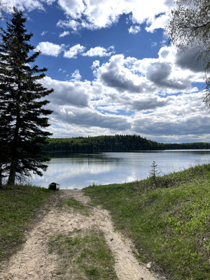 View of the access to the boat launch.