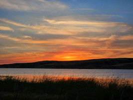 Miles of peaceful shoreline 