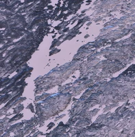 Bonokoski Lake - Jan 16, 2026