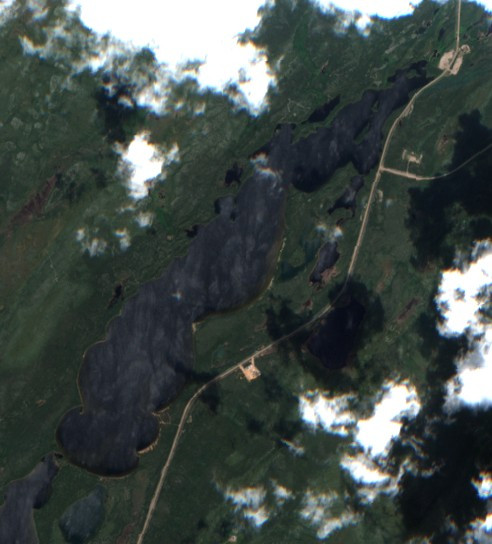 Courtenay Lake - May 10 - Jun 09