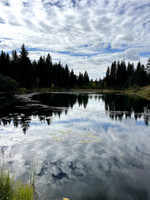 View of the pond.