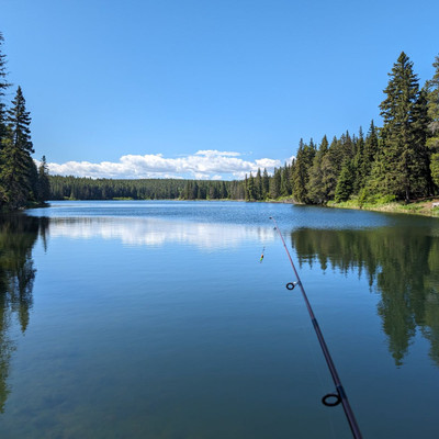 From the public dock at the end of the lake