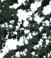 Ena lake - Jul 24, 2026