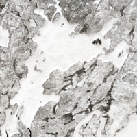 Howard Lake - Apr 29, 2026