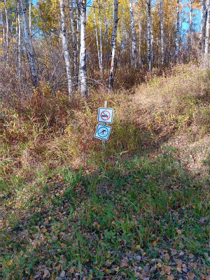 Cross country trail ski signs.