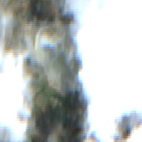 Green Lake - Jul 24, 2026