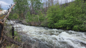 Rapids flowing from French lake to Ducker lake