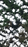 Kamuchawie Lake - Jul 24, 2026