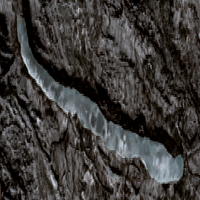 Steepbank Lake - May 01, 2026