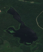 Shady Lake