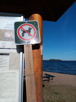 No dogs sign