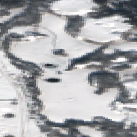 Lady Lake - Feb 12, 2026
