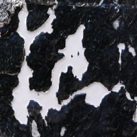 Blachford Lake - Feb 02, 2026