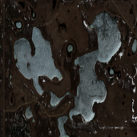 D'Amour Lake - May 01, 2026