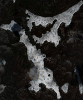 Flinthead Lake - May 12, 2026