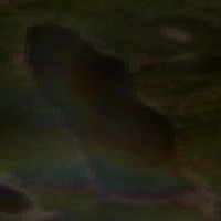 Poplar Ridge Lake