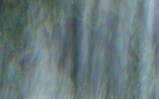 Boire Lake - Jul 24, 2026