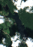 Young Loon Lake - Jul 24, 2026