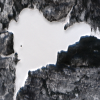 Alsmith Lake - Feb 12, 2026