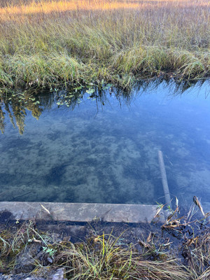 Bottom of the boat launch.