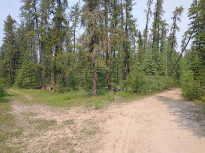 Intersection on the road out to Steepbank. The lake is down the left hand path. 