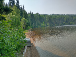 View of the shoreline.