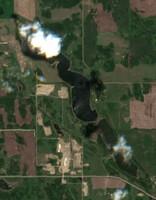 Bolney Lake
